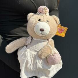 Myagkaya igrushka "Medveditca"