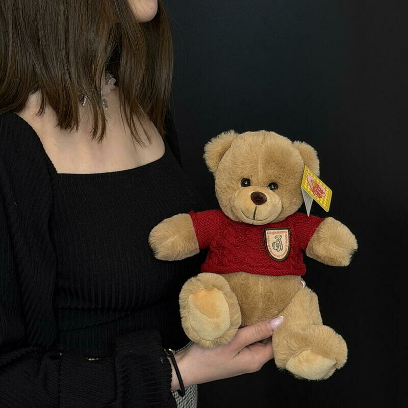 Мини мишутка в красном свитере, уменьшенный