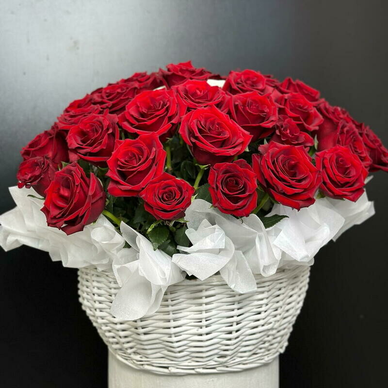 Роскошная корзина из 51 эквадорской розы , премиум