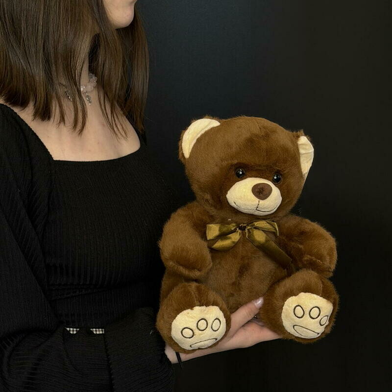 Мишутка Трофим, уменьшенный