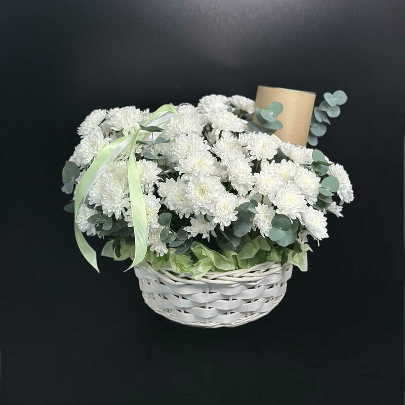 Белоснежные хризантемы в корзине с аромадиффузором в подарок!, делюкс