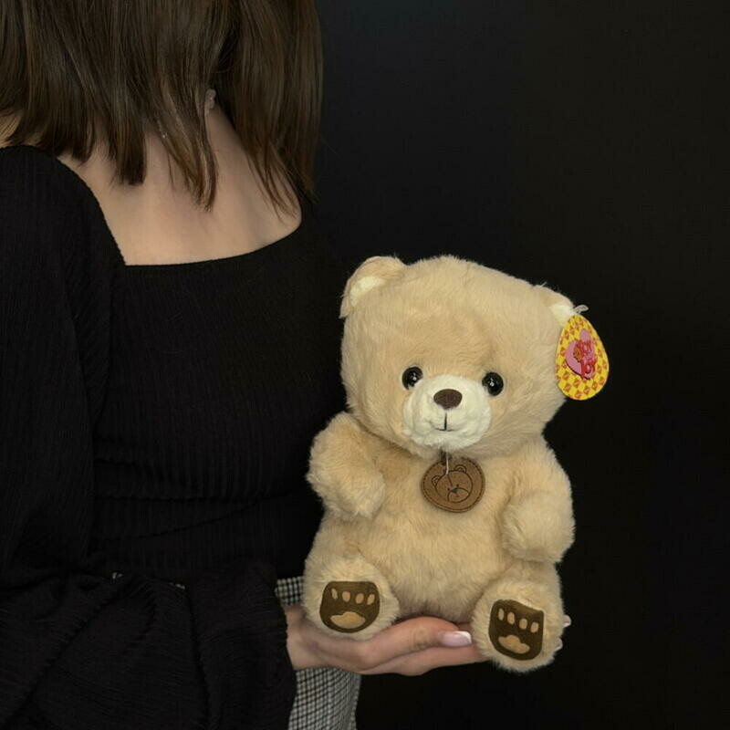 Мягкая игрушка Капибара, уменьшенный