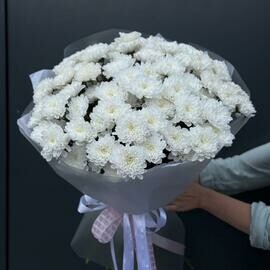 Pushistoe oblako iz 13 kustovih hrizantem