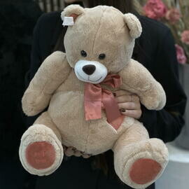 Мягкая игрушка Тимоша