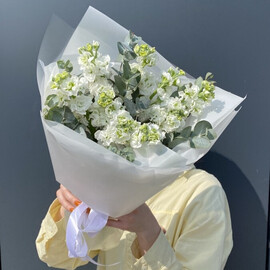 Ароматная белая маттиола с эвкалиптом