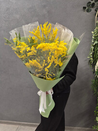 Весенняя капель