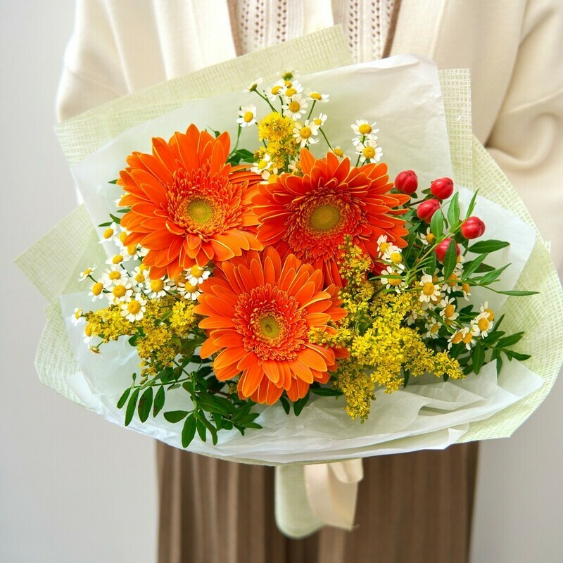 Теплый Привет, стандартный