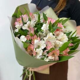 Белая и розовая альстромерия