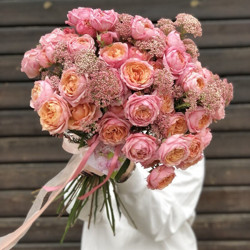 Кустовая пионовидная Джульетта и озотамнус в ленте, стандартный