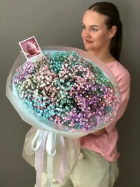 Радужная гипсофила 