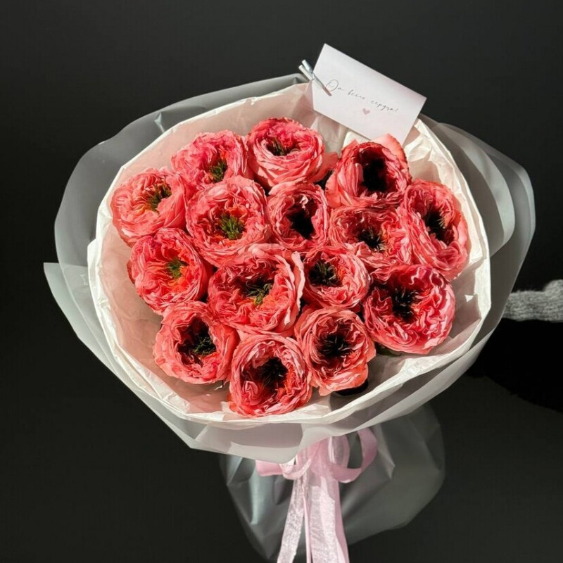 15 pionovidnih roz, 15 pionovidnih roz