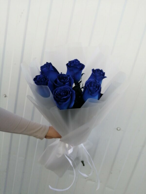 Sinee volshebstvo, standart