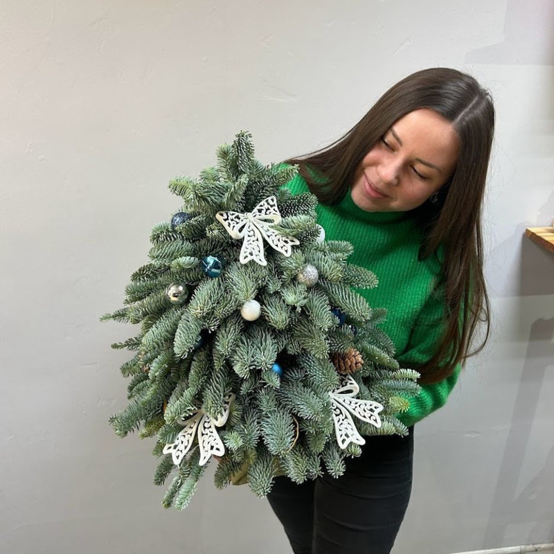 Christmas tree made of fragrant nobilis (35 cm), standart