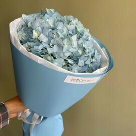 Buket Gortenziya golubaya