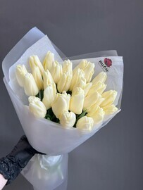 Букет из 25 белых тюльпанов