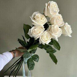 Rozi Ekvador visokie 7 shtuk