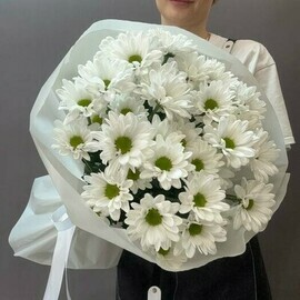 Букет из 5 кустовых Хризантем