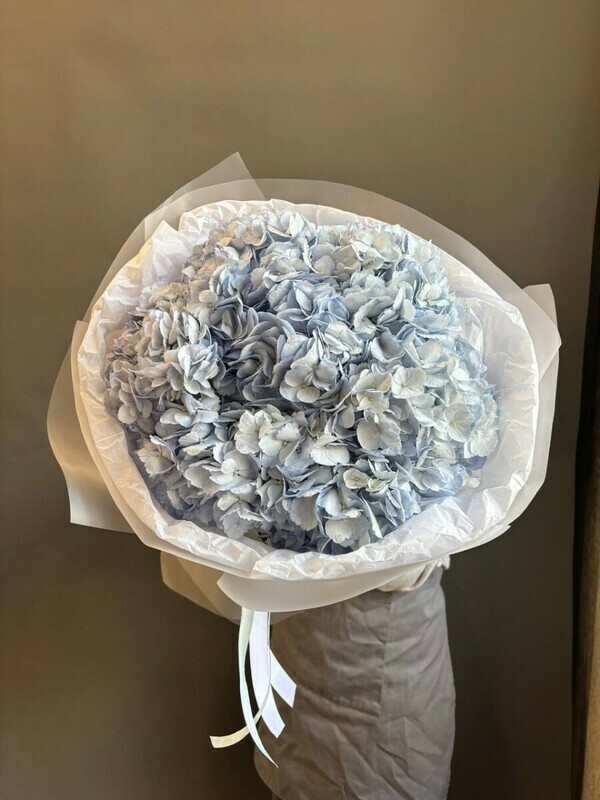 Monobuket iz 7 nezhnih gortenzij, standart