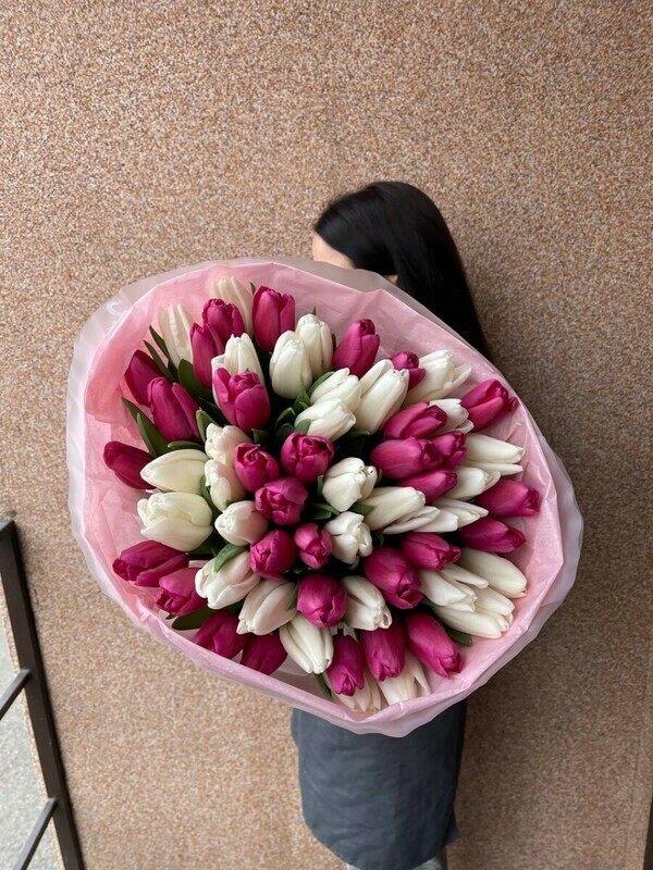 Букет из 51 бело-розового тюльпана, стандартный