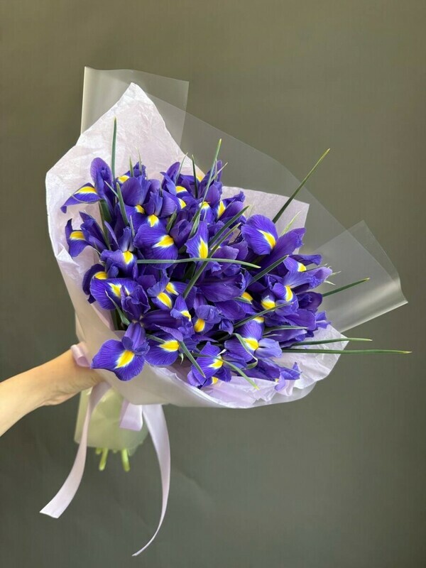 Buket iz 19 irisov, standart