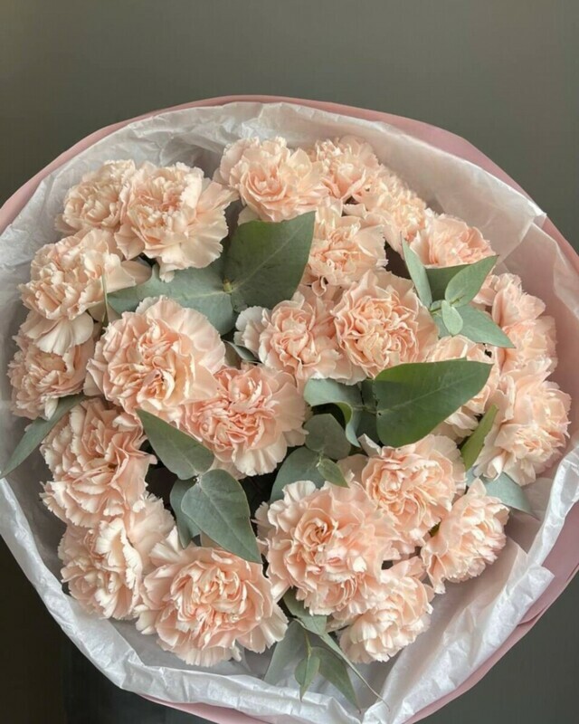 Nezhnij buket iz 23 diantusov i evkalipta, standart