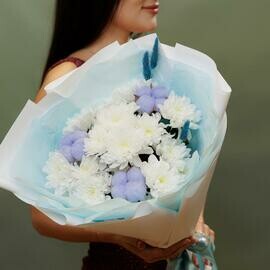 Северное сияние