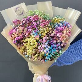 Mono iz gipsofili raduzhnoj