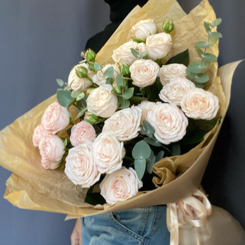 Kustovie pionovidnie rozi, kustovie pionovidnie rozi