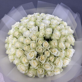 Розы белые