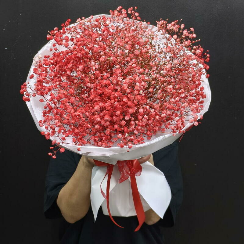 Buket iz 9 krasnih gipsofil, buket iz 9 krasnih gipsofil