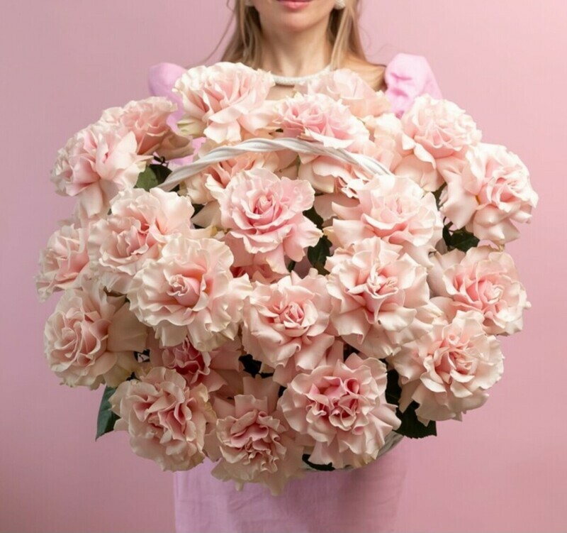 Korzina iz 25 nezhno rozovih frantcuzskih roz WOW, korzina iz 25 nezhno rozovih frantcuzskih roz wow