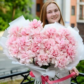 Букет из 25 французских роз