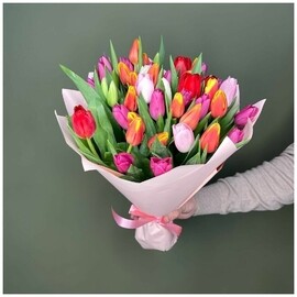 51 Тюльпан микс