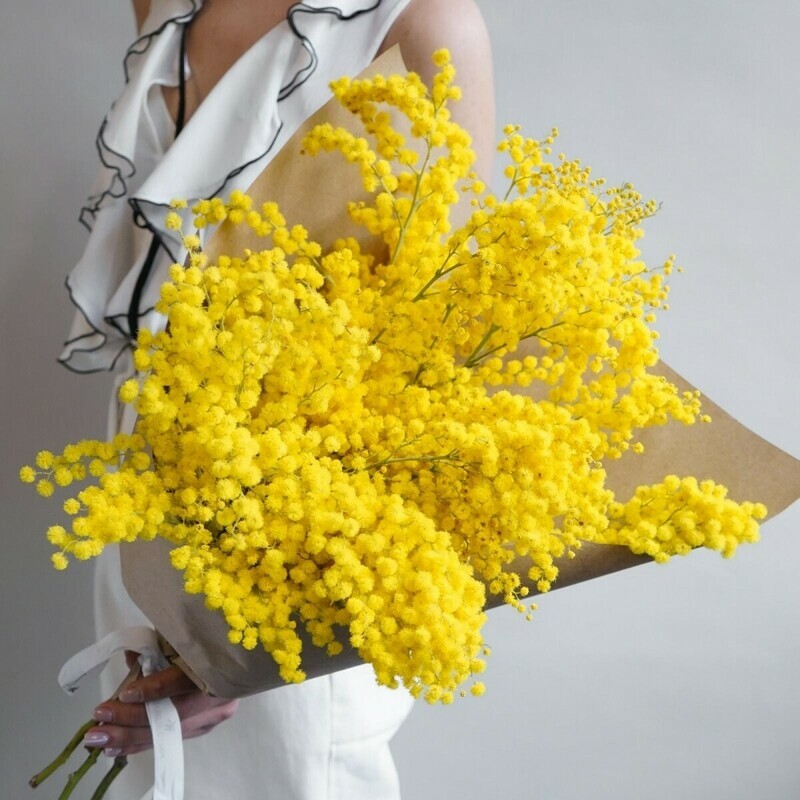 "Podarok vesni", "podarok vesni"