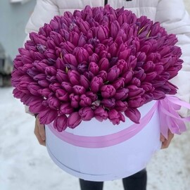 201 Tyul_pan v korobke