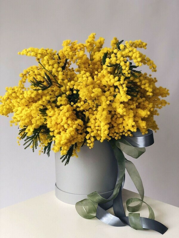 "Желтый фонтан", "желтый фонтан"