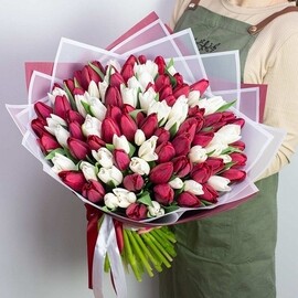 85 Весенних тюльпанов