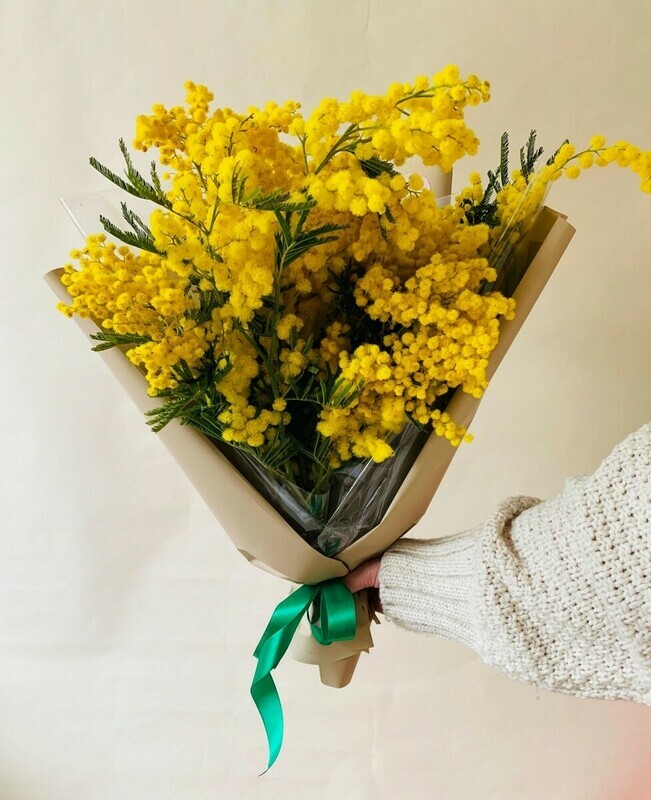 "Nezhnaya mimoza", "nezhnaya mimoza"