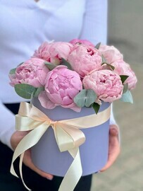 11 Пионов в шляпной коробке