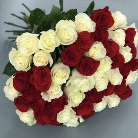 51 Роза Эквадор 