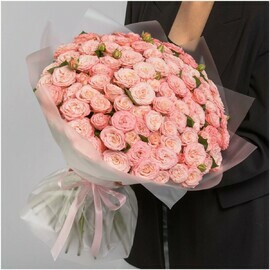 25 Кустовых Пионовидных Роз