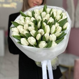 51 Белый тюльпан в упаковке
