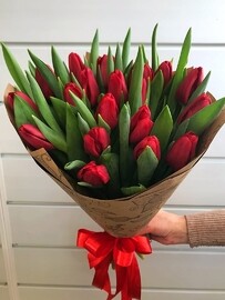 15 Krasnih tyul_panov v upakovke