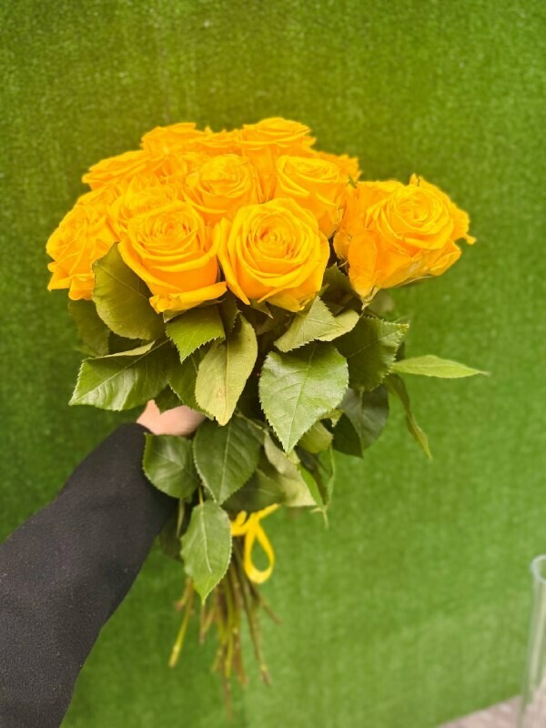 23 Розы Эквадор, 23 розы эквадор