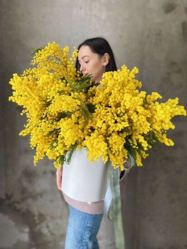 "Limonnoe oblako", "limonnoe oblako"