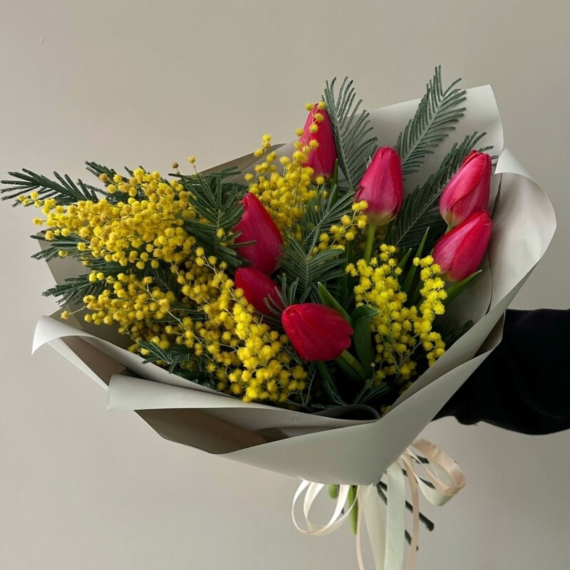 "Potceluj mimozi", standart