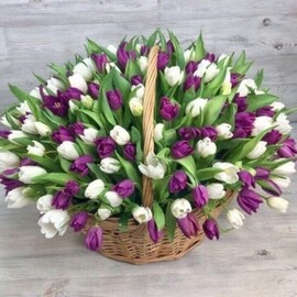 "Tyul_panovij milkshejk"