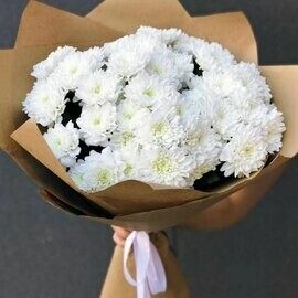 7 Кустовых Хризантем в упаковке