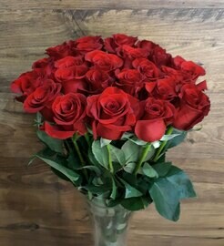 25 Roz Ekvador v vaze