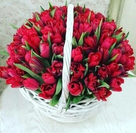 101 Krasnij tyul_pan v korzinke